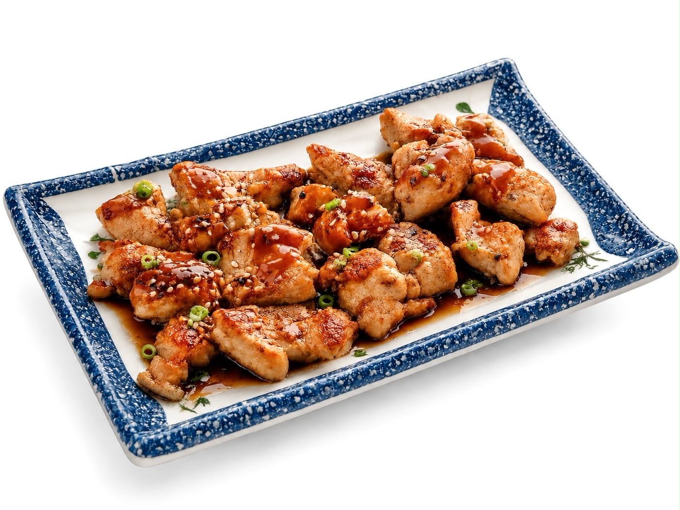 Tori Teriyaki